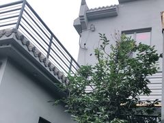 -鸽子窝(宋庄店)