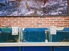 水产区-姜君·千岛湖鱼头馆(浦东大道店)