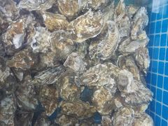 -兆辉木炭海鲜烧烤·海鲜小炒