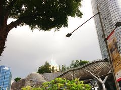 -爱雍·乌节
