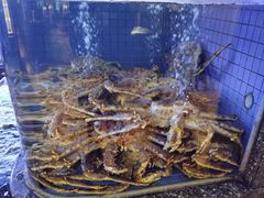 -金悦轩海鲜酒家(南宁店)
