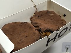 -HOT CRUSH趁热集合·现烤面包(环球港店)