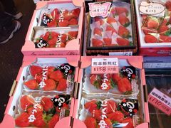-油麻地果栏