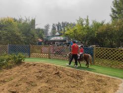 -萌宠亲子动物乐园(槐房万达店)