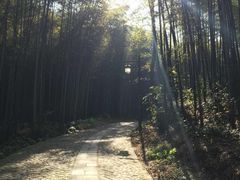 法喜寺-杭州上天竺法喜讲寺