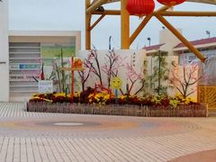 -汕头中海黄金海岸水上乐园