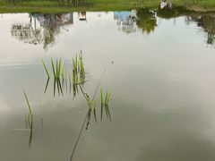 -两河城市森林公园