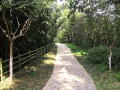-菊花台公园