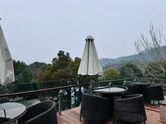 -逸廊大堂吧-下午茶·简餐-千岛湖自由洲际殿