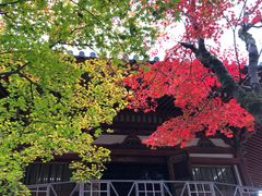-醍醐寺