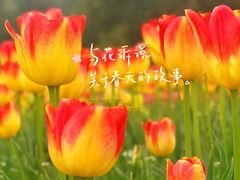 -大宁公园