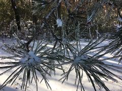 -东天目山风景区