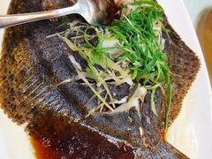 多宝鱼-尖沙咀酒店(大沥店)