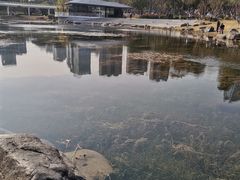 -昆山城市公园