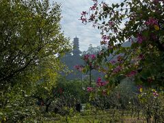 -南沙天后宫景区