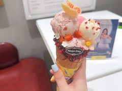 -哈根达斯(深圳海岸城店)