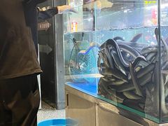 -本炙炭烤·蒲烧活鳗料理店(金沙洲店)