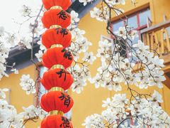 -杭州上天竺法喜讲寺