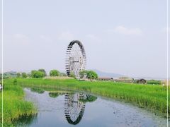 -太湖湖滨国家湿地公园-停车场