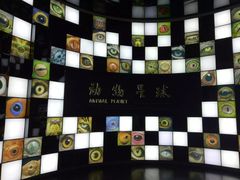 -重庆自然博物馆(新馆)
