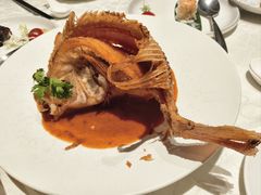 新加坡娘惹炸彩虹鲷-珍宝海鲜JUMBO Seafood(尚嘉店)