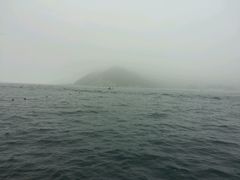 -西涌国际滨海旅游区