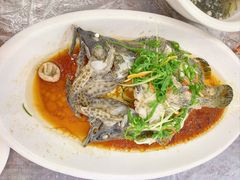 清蒸石斑鱼-众味海鲜大排档·活海鲜·潮汕味(南澳店)