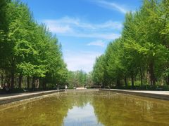 -玲珑塔公园