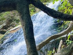 -梧桐山风景名胜区