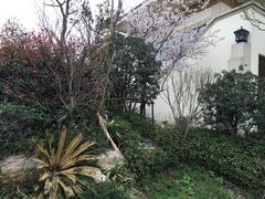 -苏州湾王焰温泉度假酒店