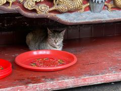-南华寺素食馆(南华禅寺店)