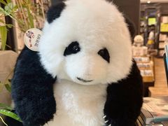 -轩客会(熊猫书店)