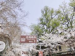 -鸡鸣寺