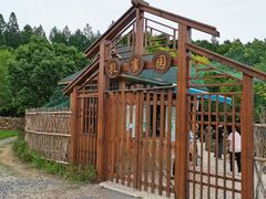 -东平国家森林公园