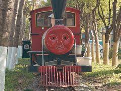 -合肥滨湖国家森林公园