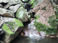 android_upload_pic-三块石国家森林公园