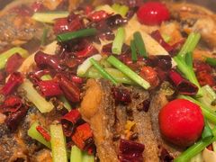 -老板恋上鱼(振华商厦店)