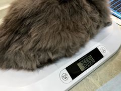 -御宝贝24h宠物医院·转诊中心·CT核磁血透中心(厦门总院)