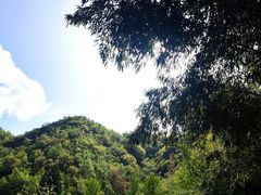 -洛阳白云山景区