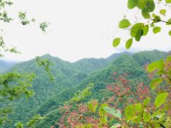 -陕西省红河谷森林公园