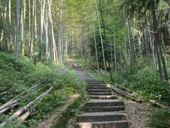 -缙云山景区