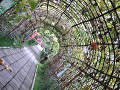 -白渔泡湿地公园