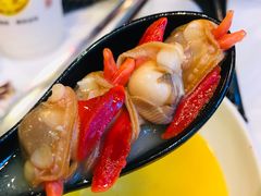 -鲜入围煮花胶鸡海鲜火锅