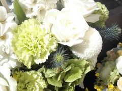android_upload_pic-双季花艺园艺市场(浦东店)