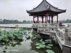 -济南大明湖景区