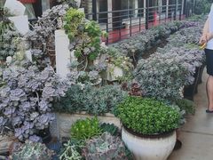 -山菌美食苑(振兴路店)