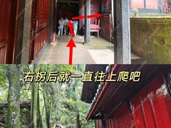 -青城山