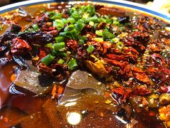 -海荣锅贴馆(五味十字店)