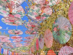 -陕西省西安植物园