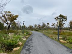 -上海长兴岛郊野公园